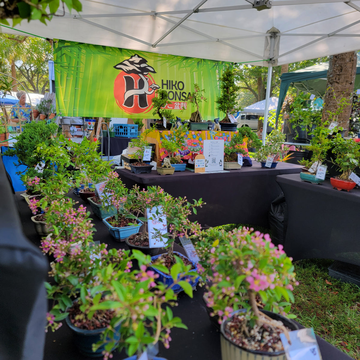 Hiko Tree Services – Hiko Bonsai